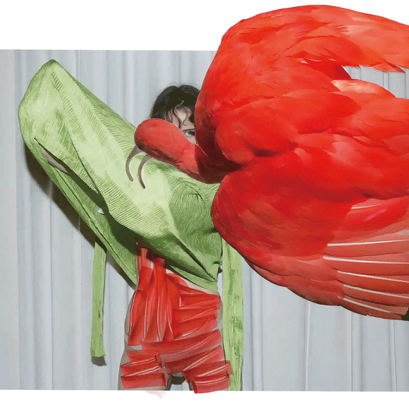 Viviane Sassen 薇薇安 ·萨森 磷光体的色彩乐园