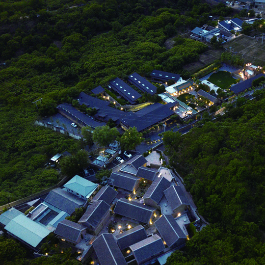 局部城市 走向乡村振兴 让每扇门里都开满鲜花