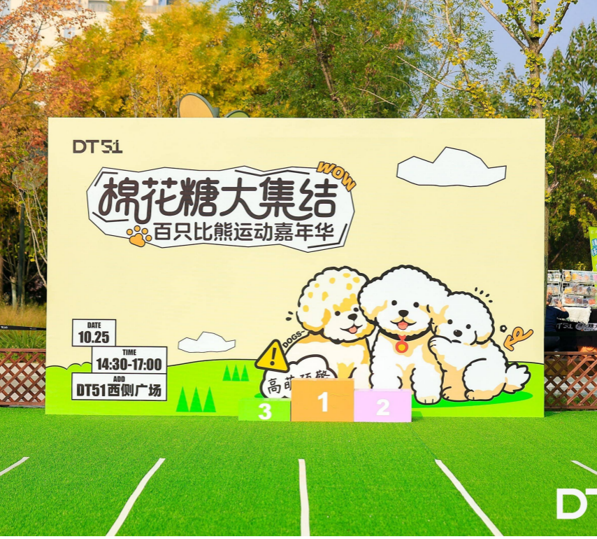北京DT51：萌宠集结跃动秋日，创意绽放彩绘时光
