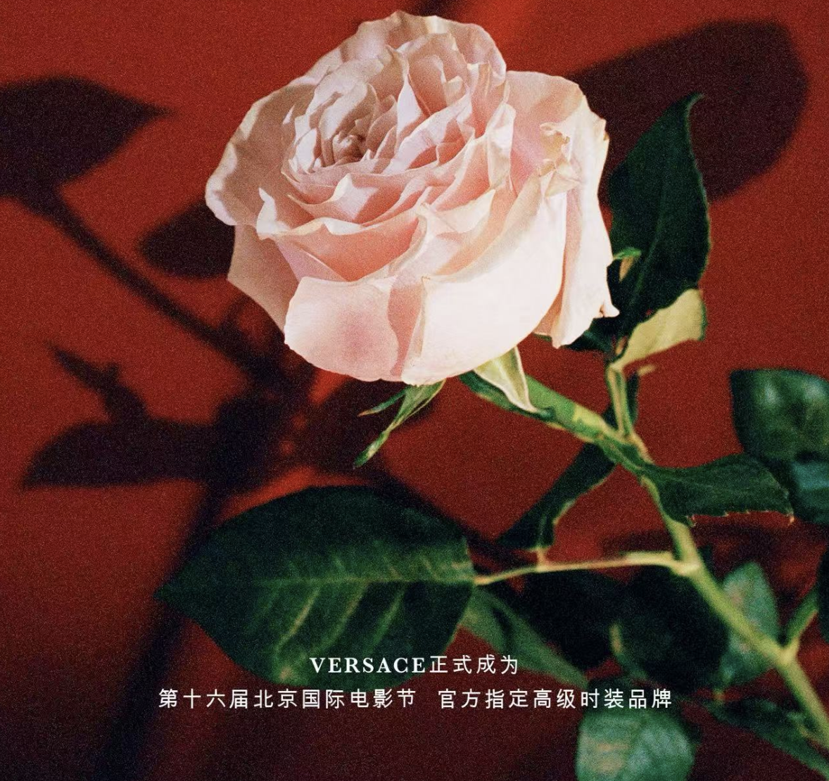 VERSACE 携手北京国际电影节 共续光影华章
